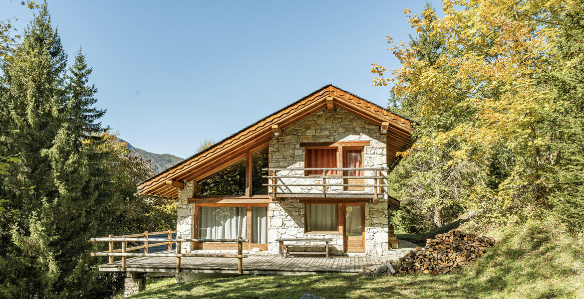 Chalet for rent in Meribel Ch. des  Brames