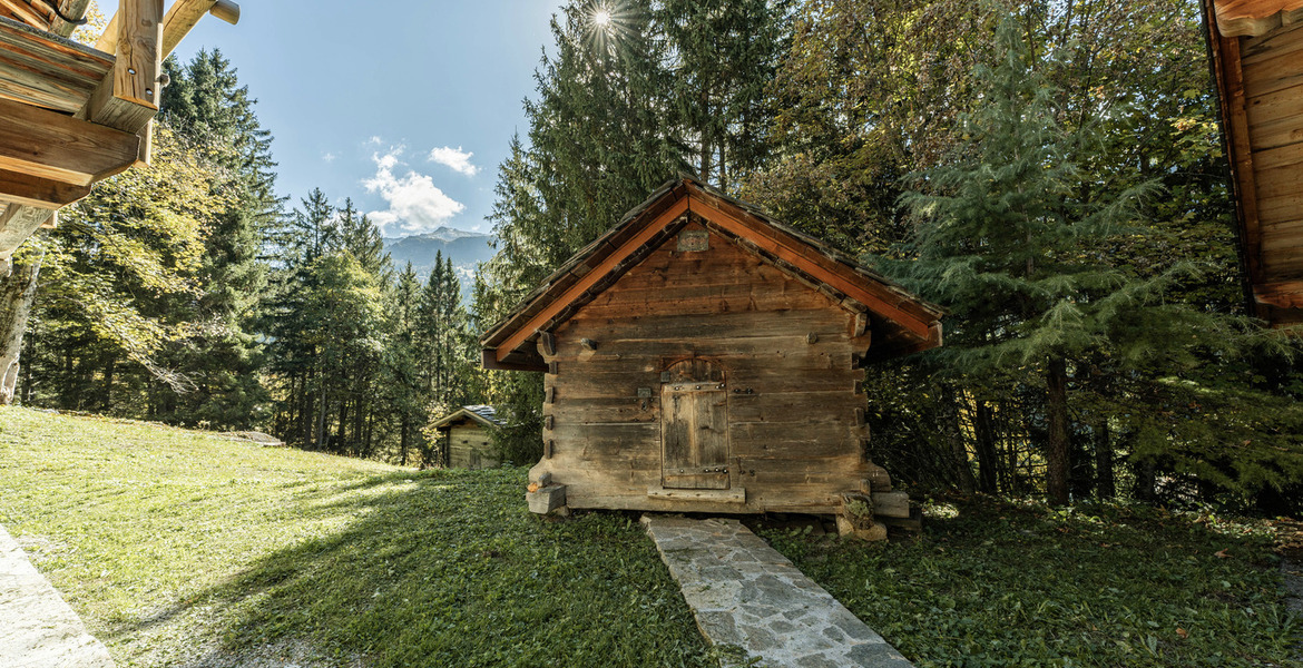 Chalet for rent in Meribel Ch. des  Brames
