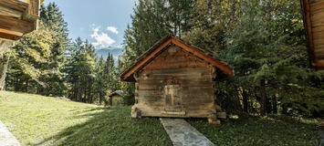 Chalet for rent in Meribel Ch. des  Brames