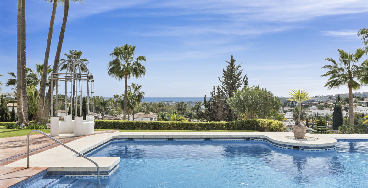 Apartamento en alquiler en Nueva Andalucia Marbella 