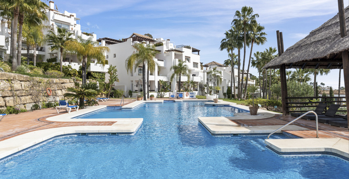 Apartamento en alquiler en Nueva Andalucia Marbella 