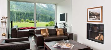 Appartement de style contemporain avec vue sur le lac