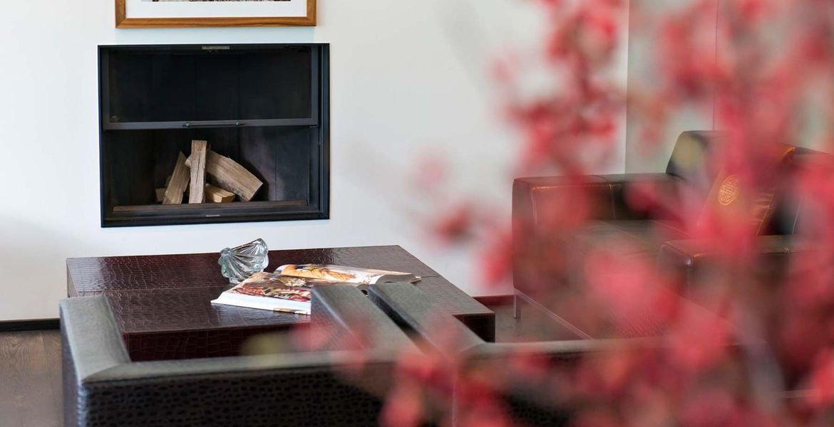 Appartement de style contemporain avec vue sur le lac