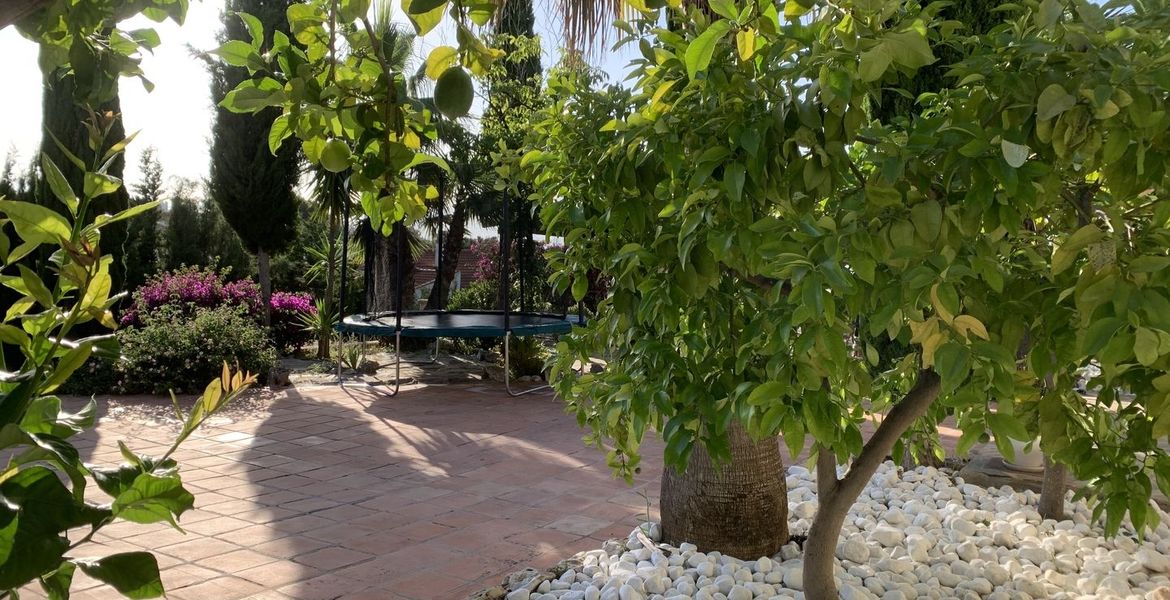 Вилла Сосновый бор Пинос де Алаурин Малага