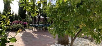 Вилла Сосновый бор Пинос де Алаурин Малага