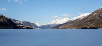 Chalet for rent  House La Punt-Chamues-ch St. Moritz