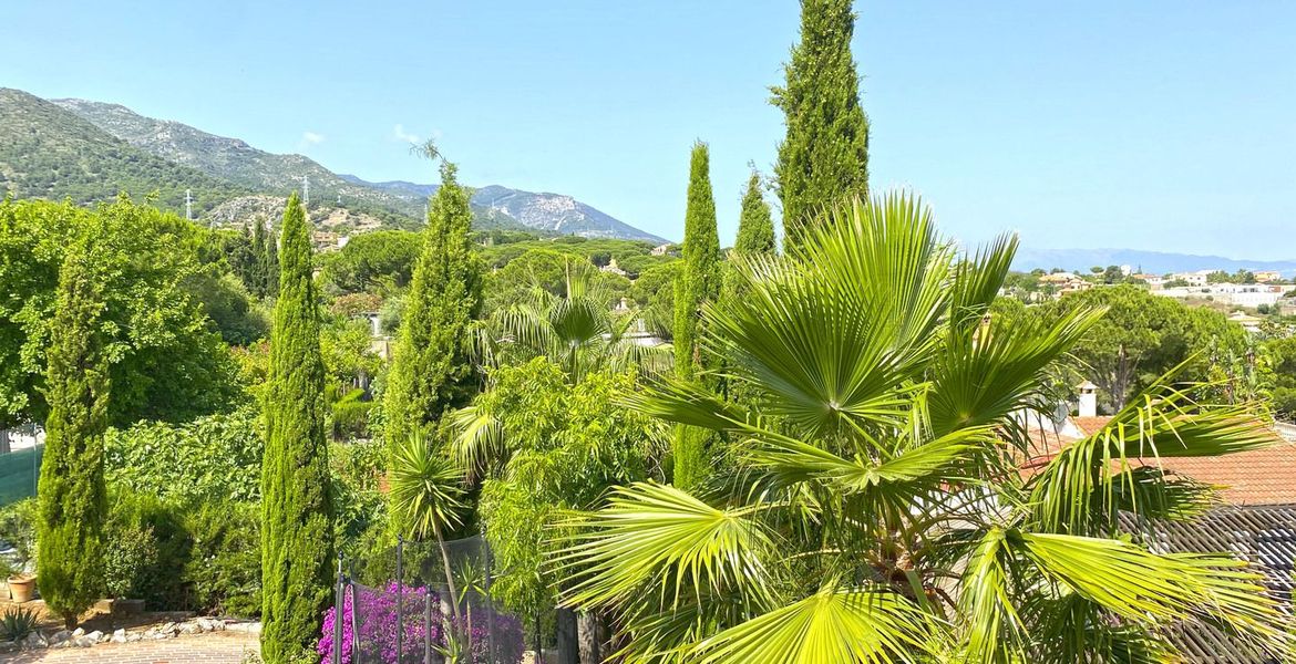 Вилла Сосновый бор Пинос де Алаурин Малага