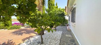 Pinos Alhaurin de la Torre