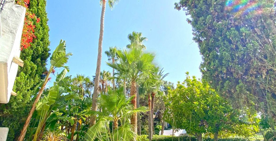 Location Appartement Acacia Marina Puente Romano