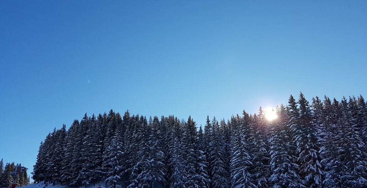 Un joli studio en plein centre de Courchevel 1850 à louer