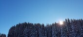 Un joli studio en plein centre de Courchevel 1850 à louer