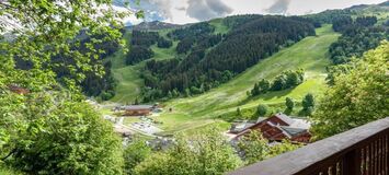 Chalet for rent in Meribel