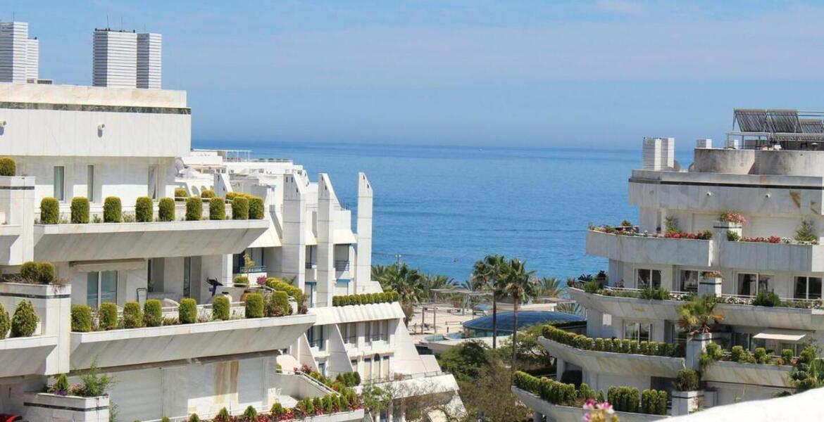 For rent aparmtent in Golden Mile