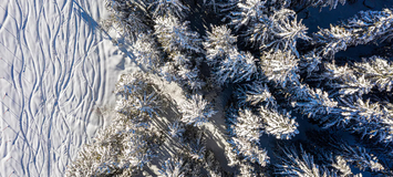 Chalet  Courchevel 1850 French Alps