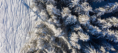 Chalet  Courchevel 1850 French Alps
