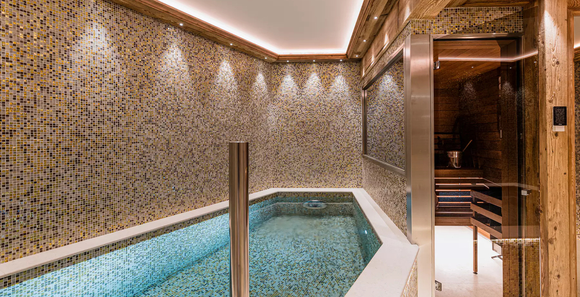 Chalet  Courchevel 1850 French Alps