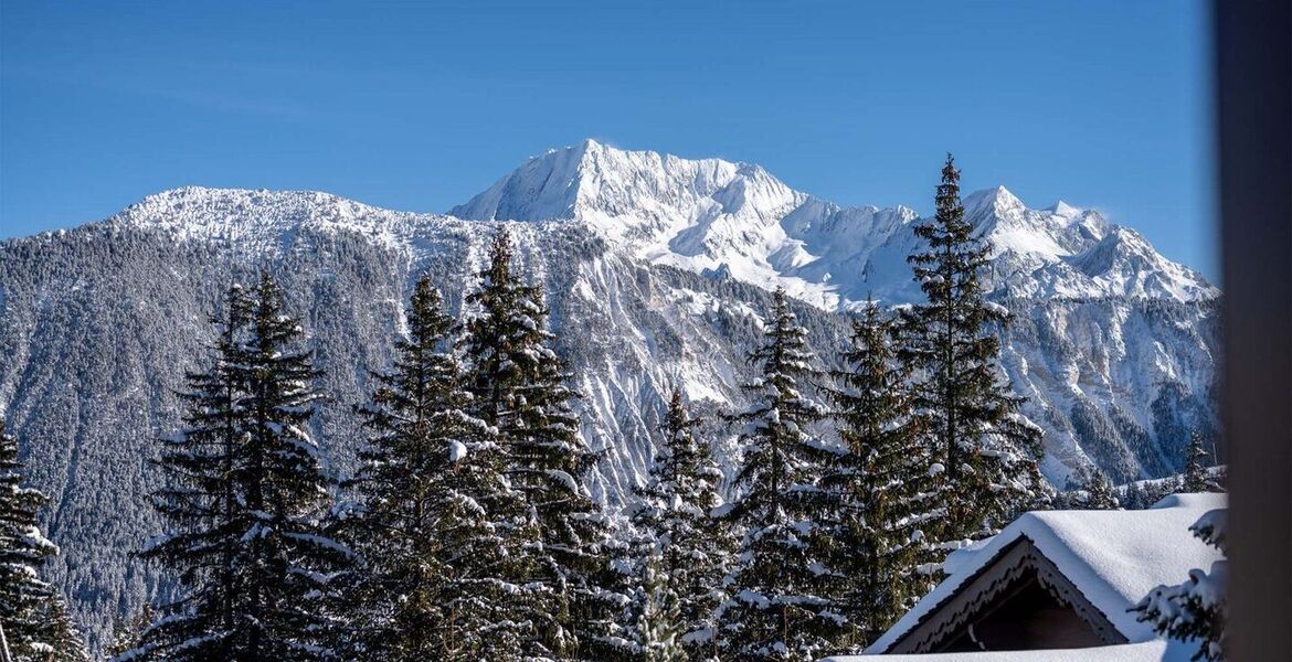 Chalet à louer à Courchevel 1850