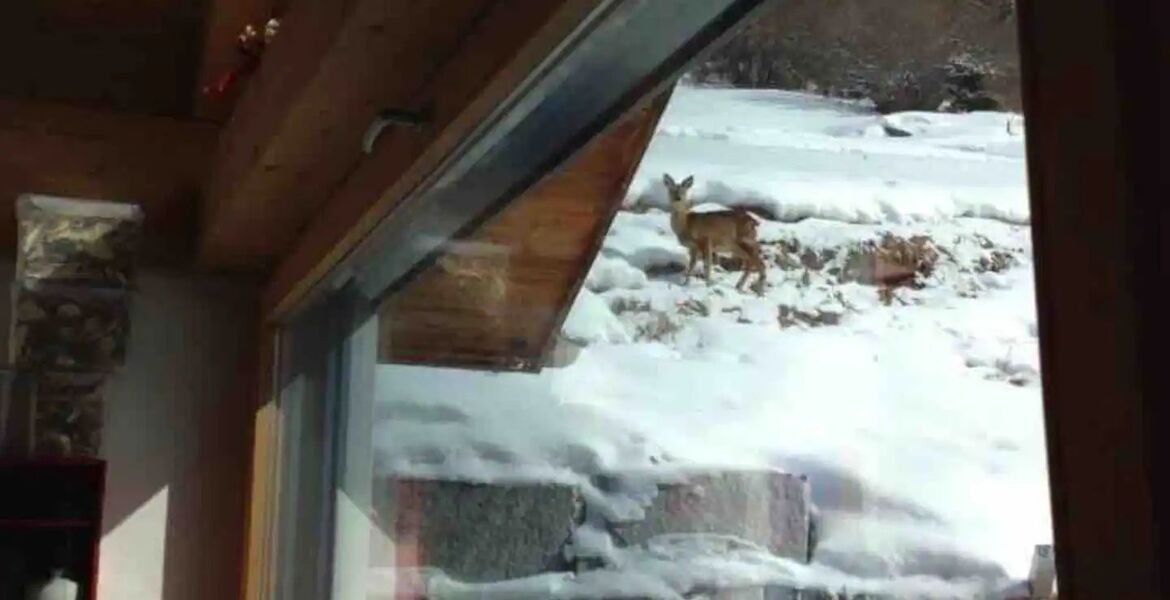 Chalet en alquiler en Surses