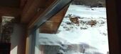 Chalet en alquiler en Surses