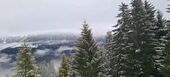 Шале в аренду в Surses
