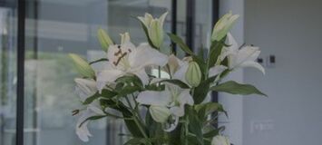 Вилла в аренду в Бенахависе