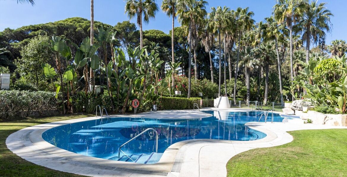 Apartment for rent in center of Marbella