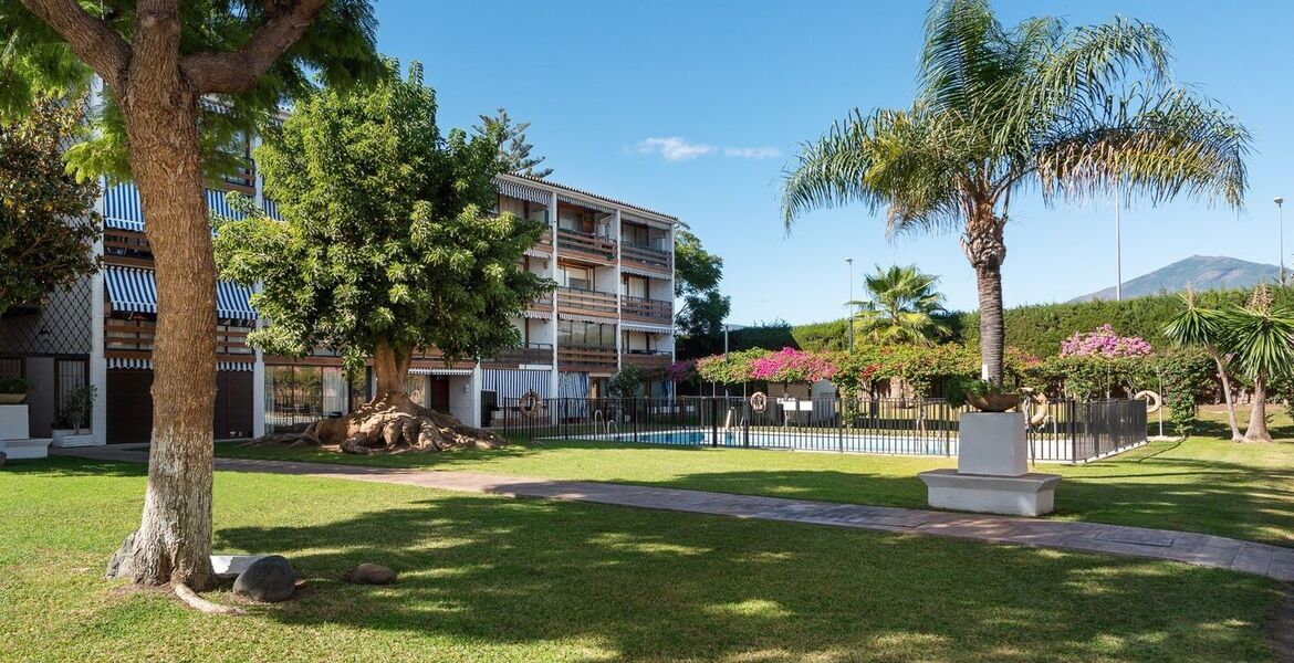 Appartement à louer à Nueva Andalucia Marbella