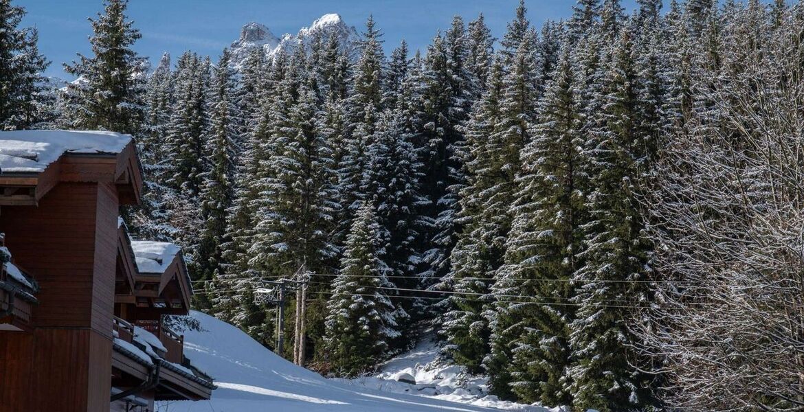 Aпартаменты Ski-in/Ski-out в Куршевеле 1850