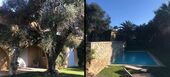 Роскошная вилла в Сен-Тропе