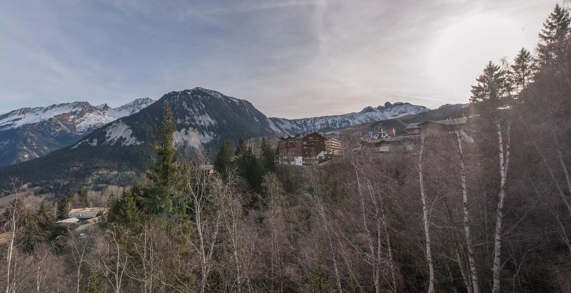 Шале в Куршевеле 1550 Le Village, Французские Альпы