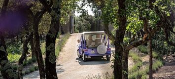 Villa de luxe en Provence