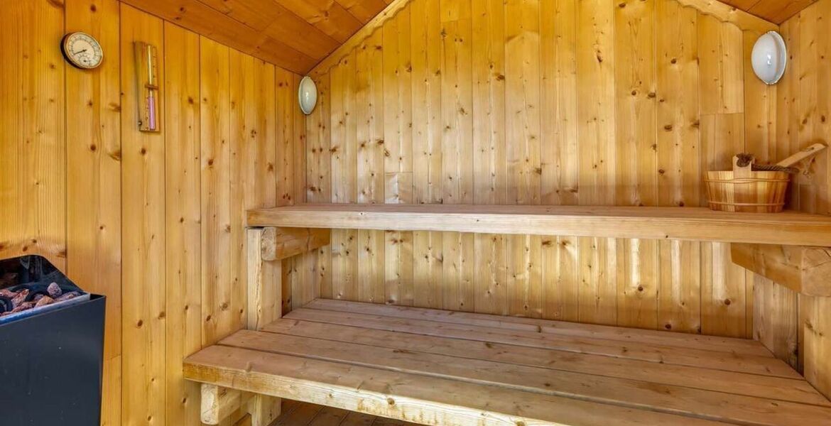 Résidence de montagne exclusive rénovée à Méribel