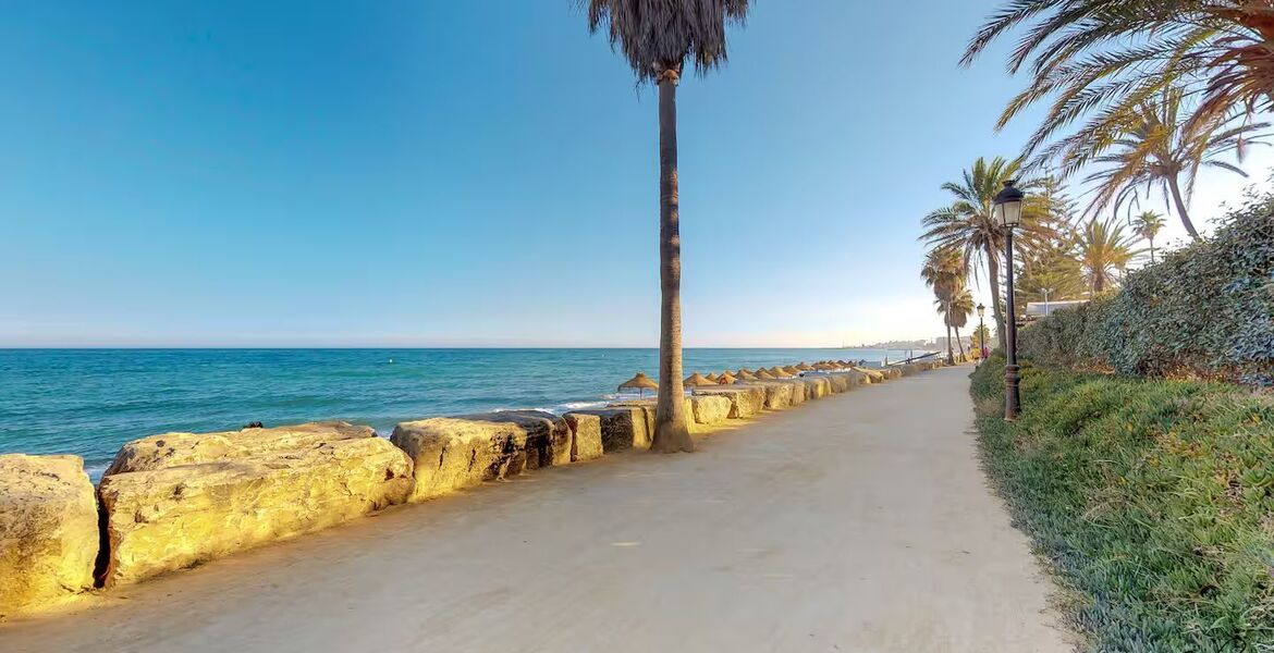 Apartment for rent in Marbella