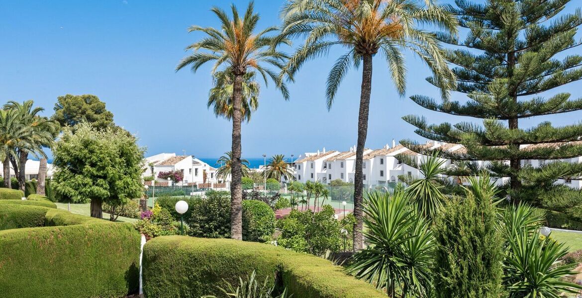 Apartamento en alquiler en Nueva Andalucía Marbella