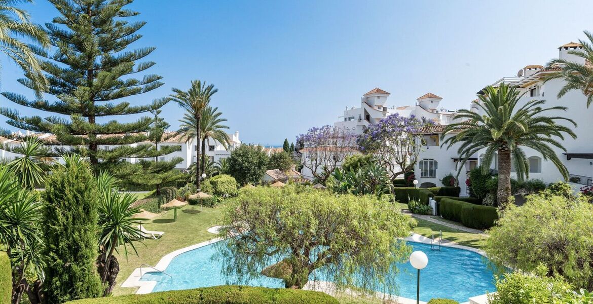 Apartamento en alquiler en Nueva Andalucía Marbella