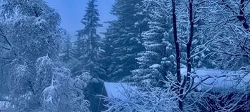 Appartement à louer à Courchevel 1550