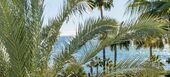 Luxury oceanfront duplex penthouse for sale