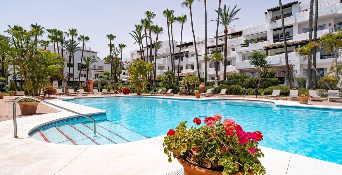Appartement à louer à Marina Puente Romano