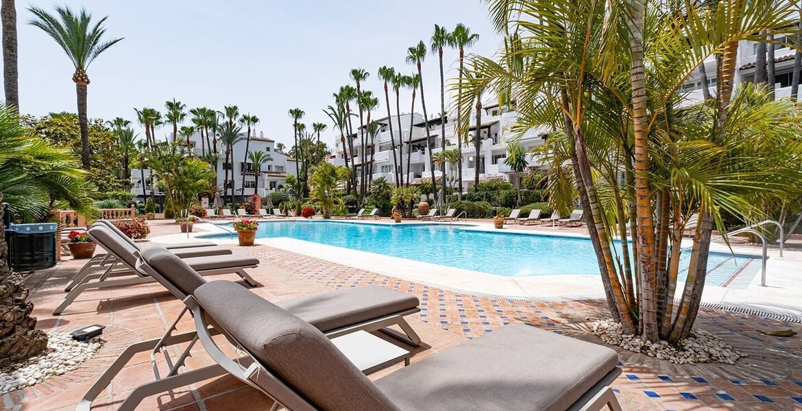 Appartement à louer à Marina Puente Romano