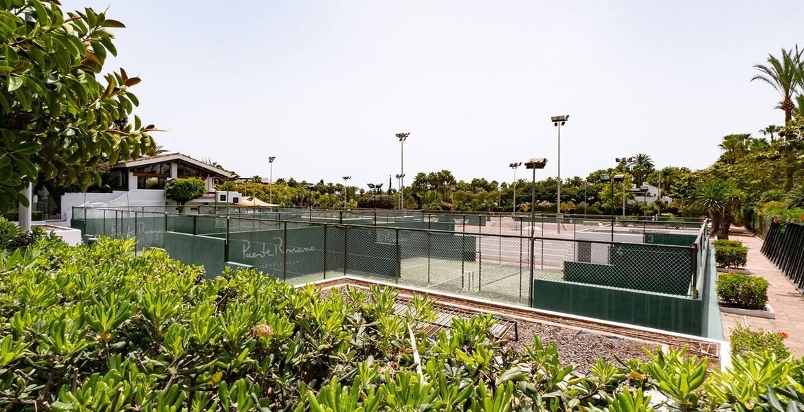 Appartement à louer à Marina Puente Romano