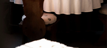 Chalet de lujo en Courchevel 1850 Servicios de Hotel 