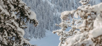 Ski-in, ski-out apartment for rent in Courchevel 1850