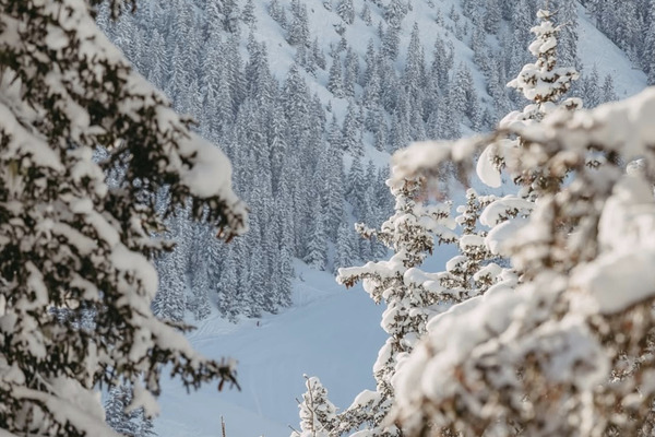 Ski In Ski Out Apartamento en alquiler en Courchevel 1850 