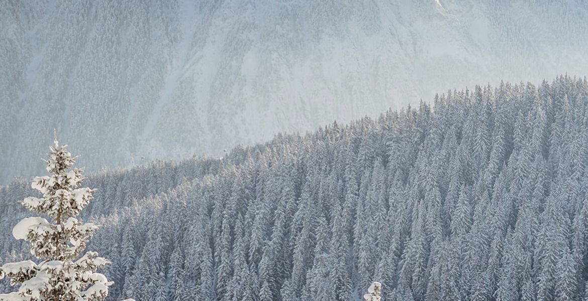 Luxury Chalet in Courchevel 1850
