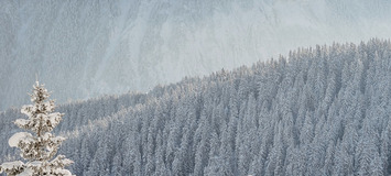 Luxury Chalet in Courchevel 1850