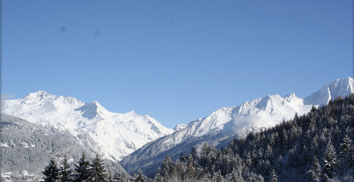 Chalet for rent in La Tania- Courchevel