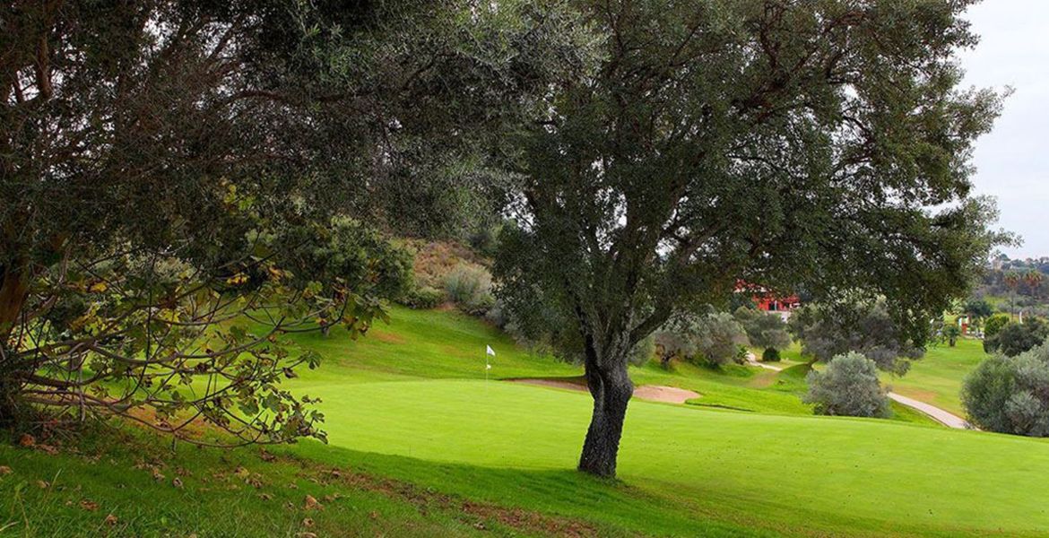 Profitez d'un incroyable parcours de golf à Santa Clara