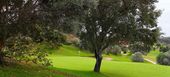 Profitez d'un incroyable parcours de golf à Santa Clara