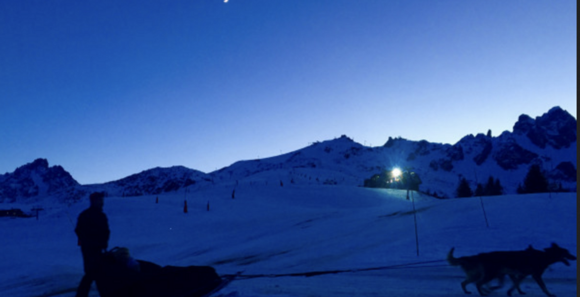 Частное ночное катание на собачьих упряжках в Куршевеле