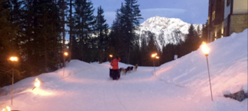 Частное ночное катание на собачьих упряжках в Куршевеле